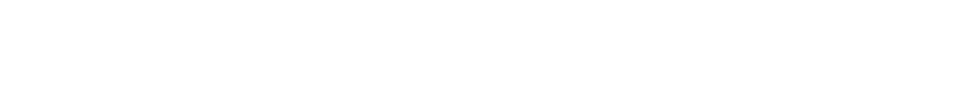 Lanvigator-logo